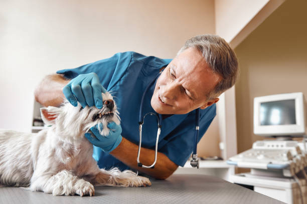 Best Emergency Dental Care for Trauma or Injury in Richgrove, CA