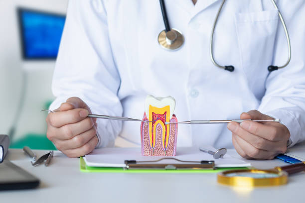 Best Emergency Broken Tooth Repair in Richgrove, CA